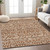 5' X 8' Terra Cotta And Beige Southwestern Washable Indoor Outdoor Area Rug - Terra Cotta, Beige
