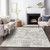 3' X 5' Ivory And Gray Abstract Washable Indoor Outdoor Area Rug Transitional Style - Ivory, Gray Color