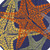 5' Blue Yellow And Orange Round Starfish Indoor Outdoor Area Rug