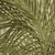 6' X 9' Ivory And Green Palm Leaf Indoor Outdoor Area Rug