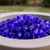 Cobalt Round Reflective Fire Pit Glass