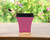 5" Hot Pink Recycled Plastic Indoor Outdoor Square Pot Planter - 606114954897
