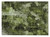 2' X 3' Green Floral Washable Non Skid Indoor Outdoor Area Rug - Green