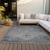 5' X 8' Gray Silver And Charcoal Oriental Washable Indoor Outdoor Area Rug - Gray, Silver, Charcoal
