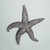 19" Antiqued Silver Resin Starfish Hanging Dimensional Sculpture
