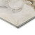 2' X 3' Beige and Brown Abstract Washable Indoor Outdoor Area Rug