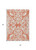 3' X 5' Coral And Ivory Damask Washable Indoor Outdoor Area Rug