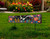 36" Black Cinco de Mayo Solid Wood Garden Stake