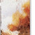 42" White And Brown Solid Wood Squirrels Garden Stake