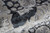 12' X 15' Gray And Black Floral Power Loom Area Rug