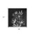 Set Of Two Black and White Flowers in Bloom White Framed Print Wall Art