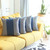 Set Of 4 Blue Houndstooth Pillow Covers