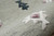 7' Gray Round Wool Hand Hooked Handmade Area Rug