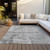 3' X 5' Gray And Silver Abstract Washable Indoor Outdoor Area Rug - Gray, Silver