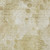 3' X 5' Beige Tan And Ivory Floral Washable Indoor Outdoor Area Rug Transitional Style - Beige, Tan, Ivory Color