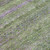 5' X 8' Olive Green And Purple Striped Washable Indoor Outdoor Area Rug