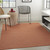 4' X 6' Terracotta Indoor Outdoor Area Rug - 606114738473