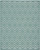 7' X 10' Aqua Indoor Outdoor Area Rug