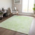 3' X 5' Mint Green Artichoke Green And Ivory Floral Washable Indoor Outdoor Area Rug