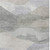 3' X 5' Beige And Gray Abstract Washable Indoor Outdoor Area Rug - Beige, Gray