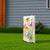 30" Blue Pink White And Yellow Solid Wood Wildflowers Garden Stake