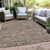 3' X 5' Brown And Beige Floral Washable Indoor Outdoor Area Rug Transitional Style - Brown, Beige Color