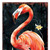 36" Black Coral And Green Solid Wood Flamingo Porch Sign