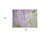 2' X 3' Purple Abstract Washable Non Skid Indoor Outdoor Area Rug Transitional Style - Purple Color