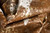 5' X 7' Brown and White Cowhide Hand Knotted Area Rug Decor