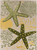 10' X 14' Ivory Green Yellow Blue And Dark Green Starfish Indoor Outdoor Area Rug
