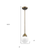 Brushed Gold Metal Hanging with Round Glass Shade