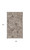 3' X 5' Brown And Ivory Palm Leaf Indoor Outdoor Area Rug