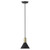 Matte Black and Gold Conical Pendant Hanging Light