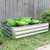 12" X 48" Silver Steel Rectangular Raised Garden Bed - 880016746365