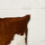 Set of Two 12" X 20" Brown and White Cowhide Throw Pillows
