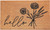 24" X 36" Natural and Black Coir Floral Hello Outdoor Door Mat