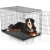Easy Crate - 721343919018