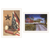 Set Of Two Star Spangled Night God And Country White Framed Wall Art - 880016541113