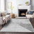 5' X 8' Gray Silver And Charcoal Abstract Washable Indoor Outdoor Area Rug - 608219168643