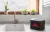 Eccotemp EZ-Flush System Descaler Kit