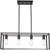 Black Metal Four Light Caged Rectangular Hanging Pendent Light