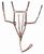 Laureate by Henri de Rivel Raised Fancy Stitched 5 Point Breastplate with Running Attachment