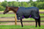 TuffRider Kozy Komfort Stable Blanket