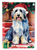 Bearded Collie Christmas Garden Flag