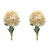 Hydrangea Bush