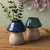 Garden Mushroom Planter