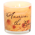 Soy Candle America The Beautiful