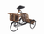 Asian Style Rickshaw Driver Card Holder