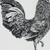 Metal Farm Fresh Chicken Decorative Jug