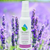 Natural All Purpose Lotion